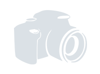 РЕССОРНАЯ ГРУППА